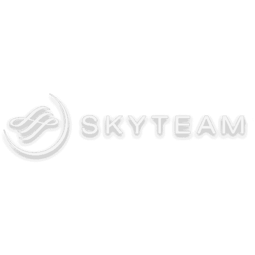 SkyTeam